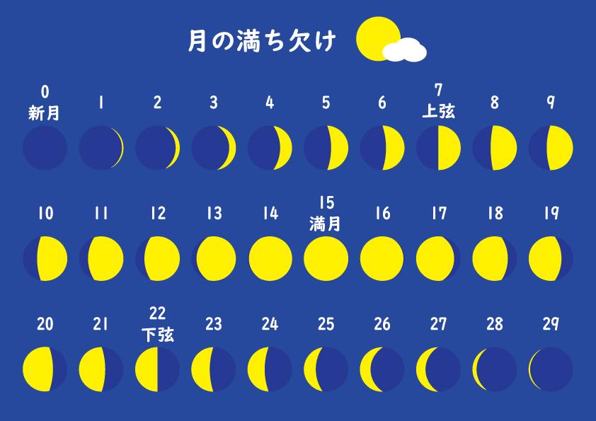 月齢とは？月齢の数え方や作られた背景についても解説｜kinendar（キネンダー）