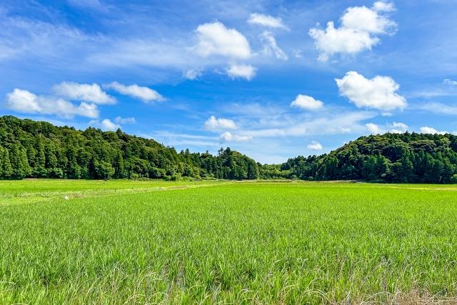 日本の田舎の風景